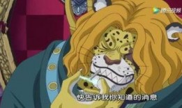 最新海贼爆料大全视频下载,揭秘最新剧情与精彩瞬间